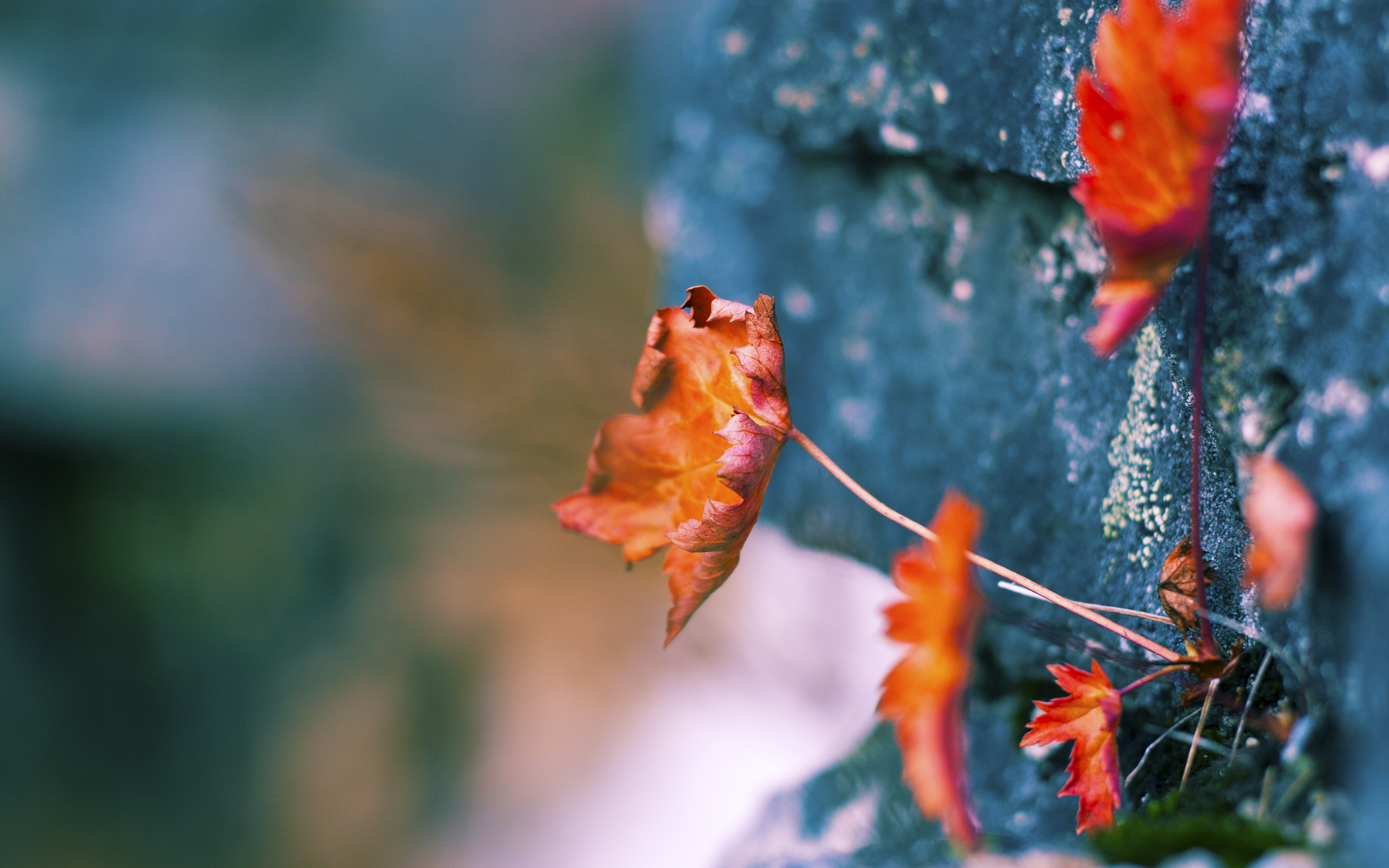 开云体育平台APP-大连一方将面对武汉卓尔，双方对决不容错失胜利机会！，大连卓尔高科技有限公司