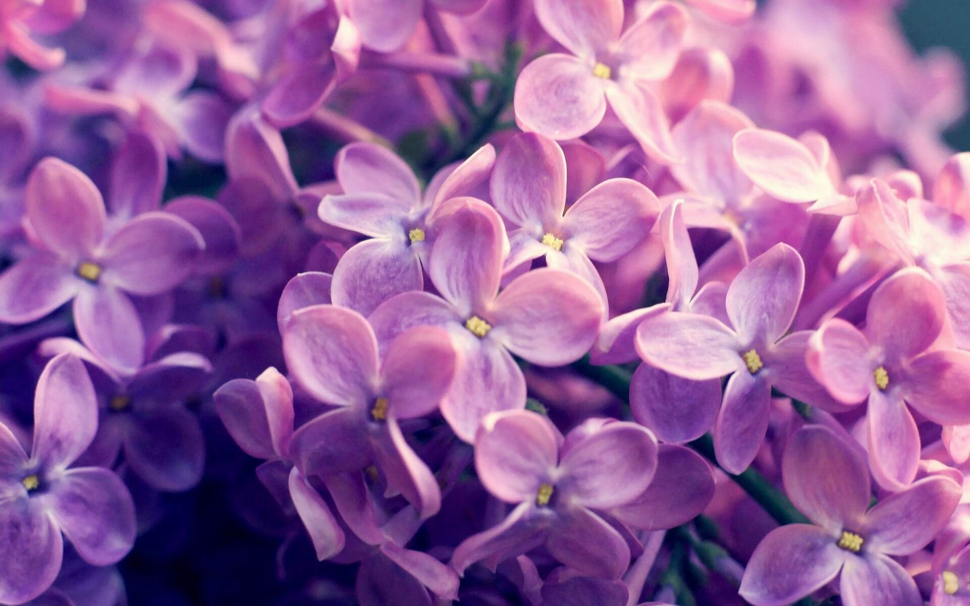 开云体育-热刺备战艰难，主场连败噩耗颁发，热刺的比赛结果