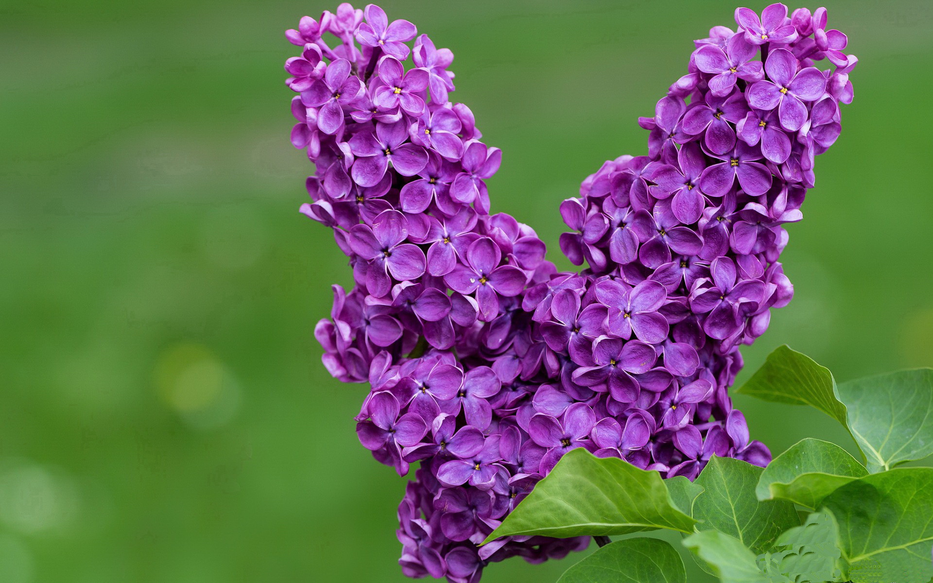 开云娱乐-东亚杯国足惨败 球迷期待重振旗鼓，东亚杯国足首发