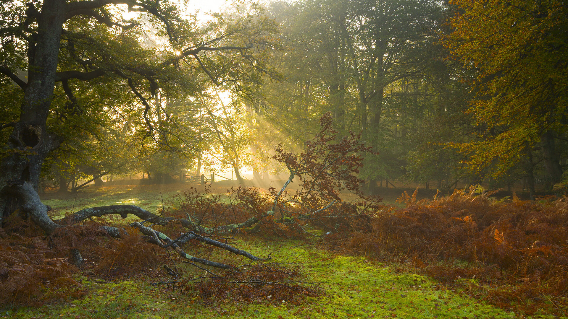 开云娱乐-马特塔、小基恩也在引援名单上，马特塔,小基恩也在引援名单上吗
