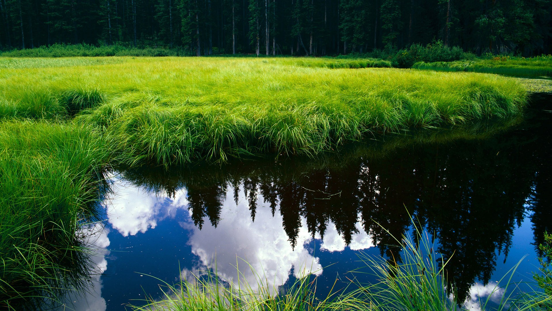 开云体育平台安全吗-欧洲杯战局变幻莫测：阵型变化引爆战场！，欧洲杯揭幕战前瞻