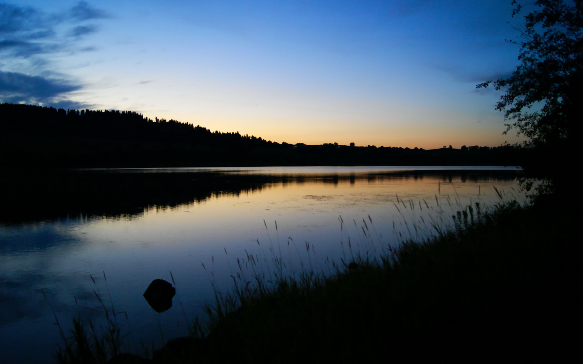 开云体育官方网站-混合泳个人赛中立代表队A选手全面发挥，个人混合泳比赛中