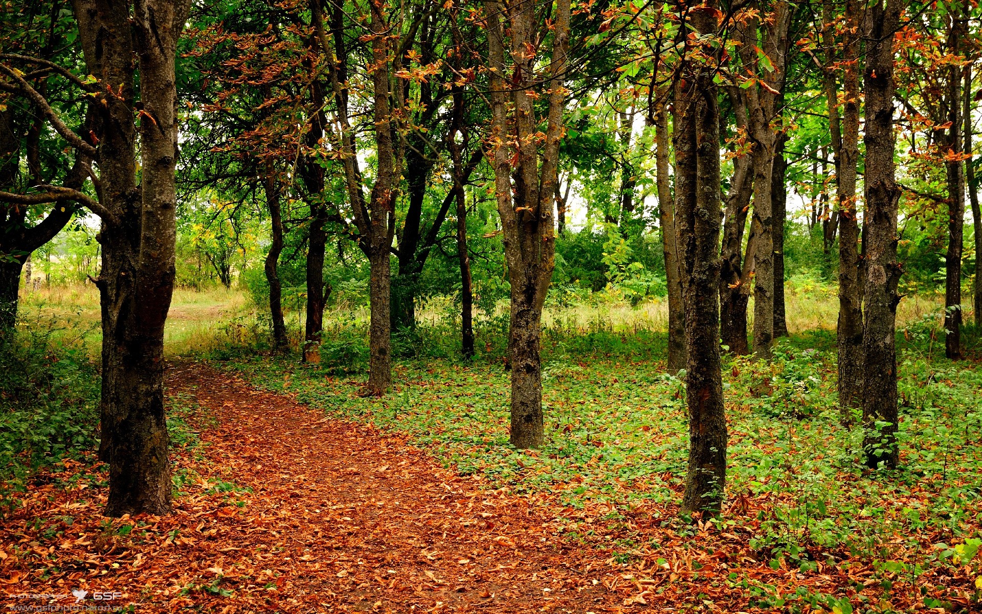 开云体育入口-美洲杯明星盛宴：个人能力点燃全场热情，美洲杯足球明星