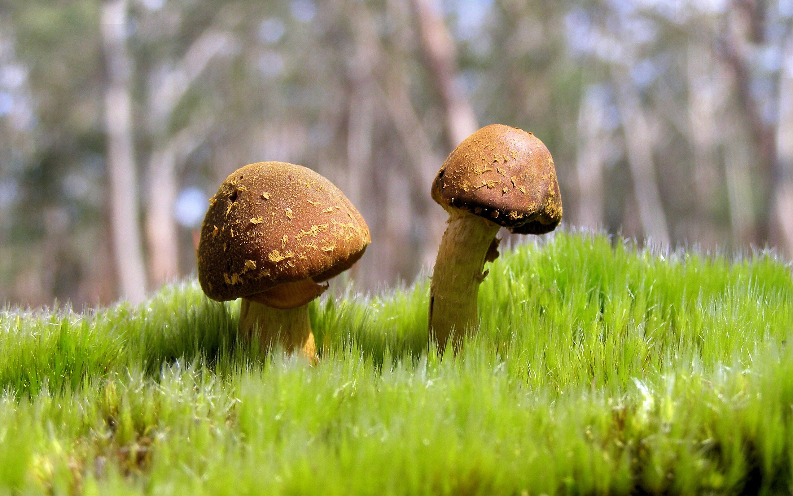 -英超巅峰对决：激烈争夺，一触即发！，英超顶级联赛